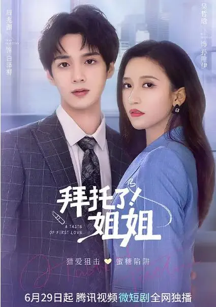 拜托了！姐姐海报