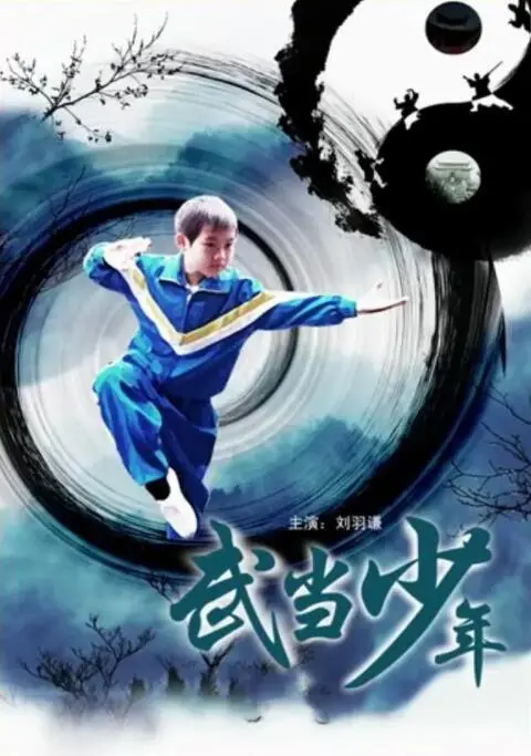 武当少年海报