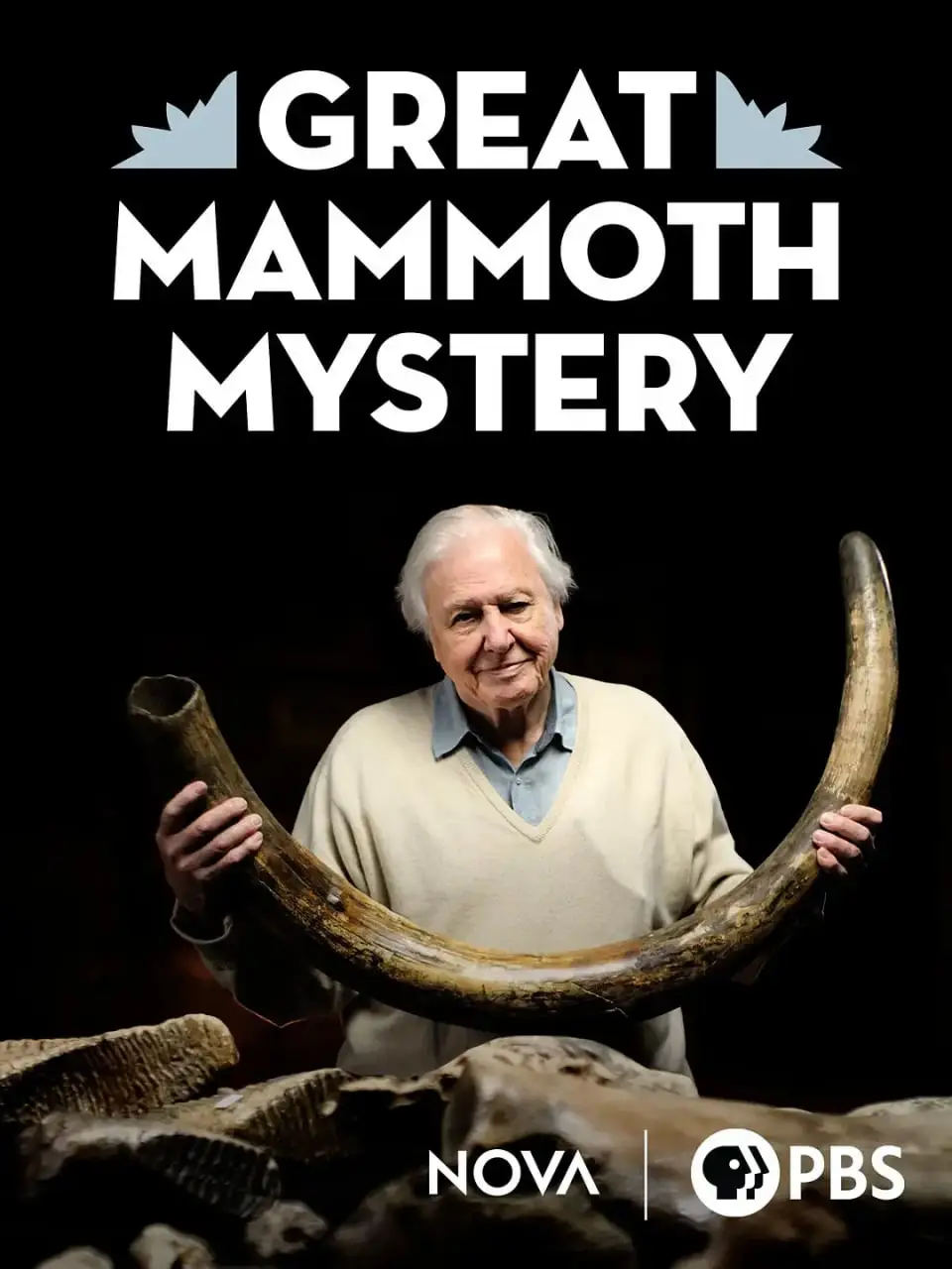 爱登堡与猛犸墓地