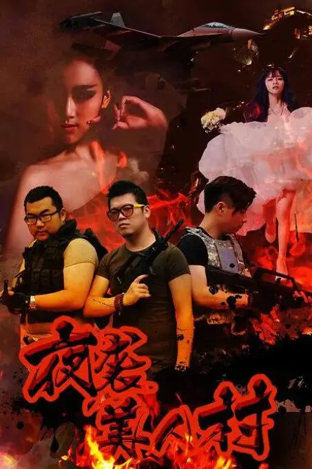 夜袭寡妇村海报