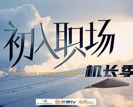 初入职场·机长季