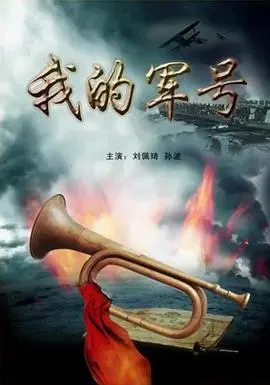 我的军号海报