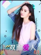 我的双面爱人海报