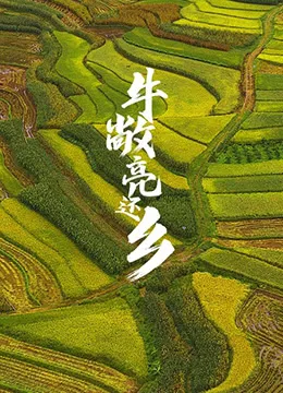 牛敞亮还乡海报