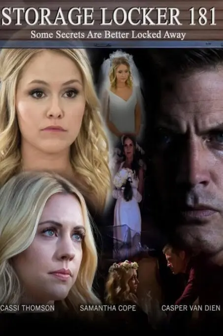 181号储物柜海报