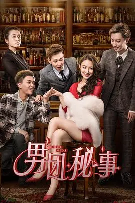 男团秘事海报