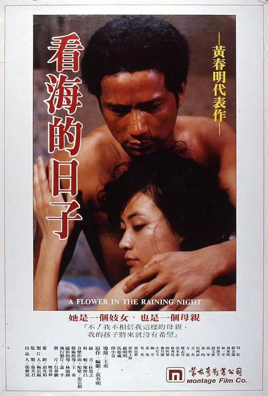 看海的日子海报