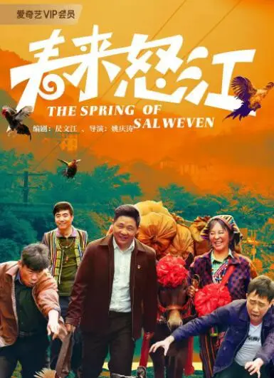 春来怒江海报