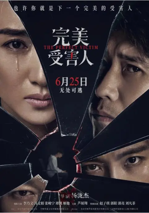 完美受害人海报