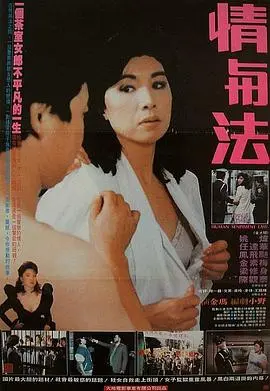 情与法海报