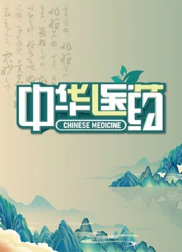 中华医药海报
