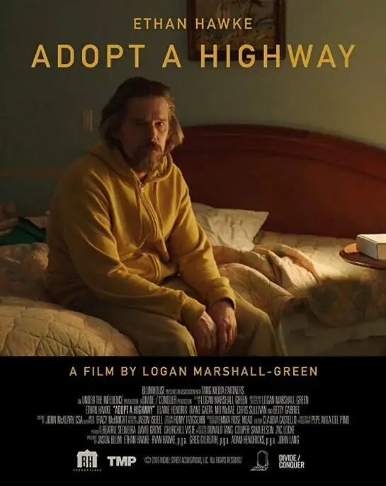 捡来的孩子海报