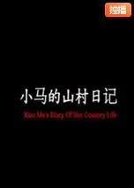 小马的山村日记海报