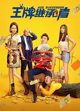 王牌继承者海报