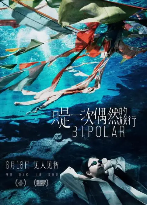 只是一次偶然的旅行海报