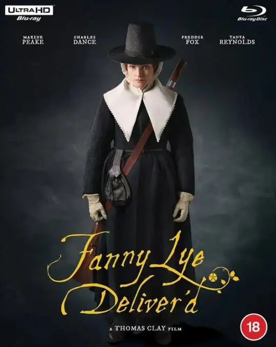 范妮·莱的解救海报