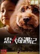 忠犬奇遇记海报
