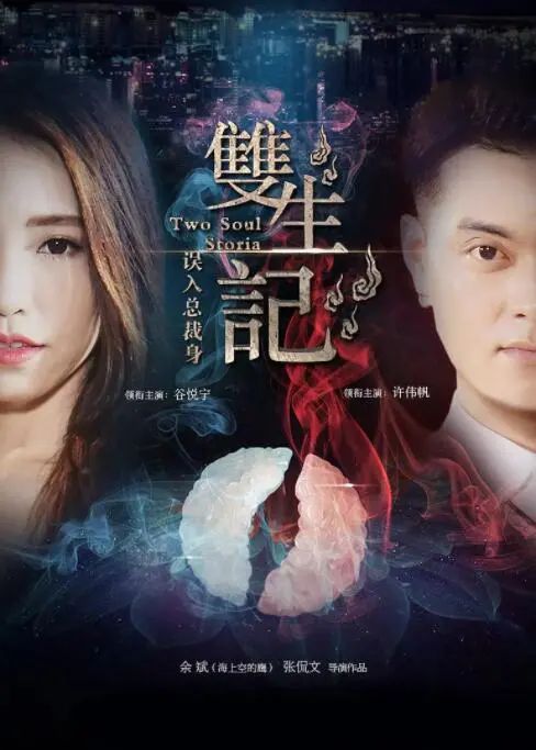 双生记之误入总裁身海报