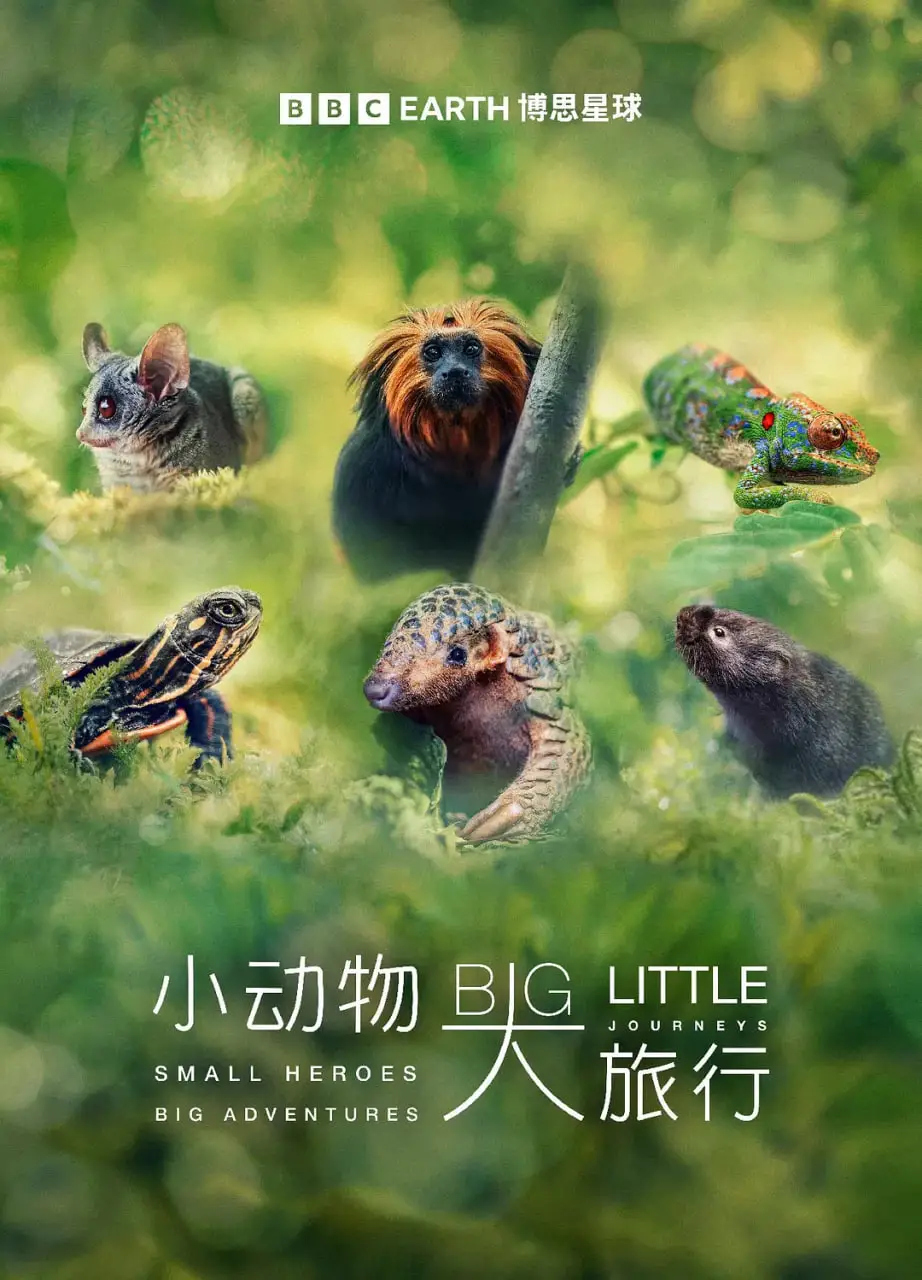 小动物 大旅行 第一季