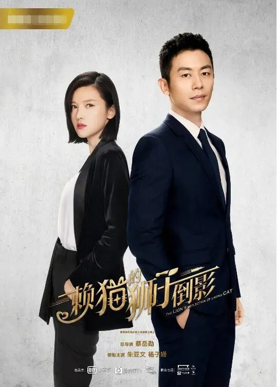 赖猫的狮子倒影海报