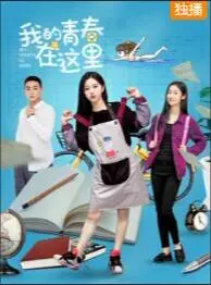 我的青春在这里海报
