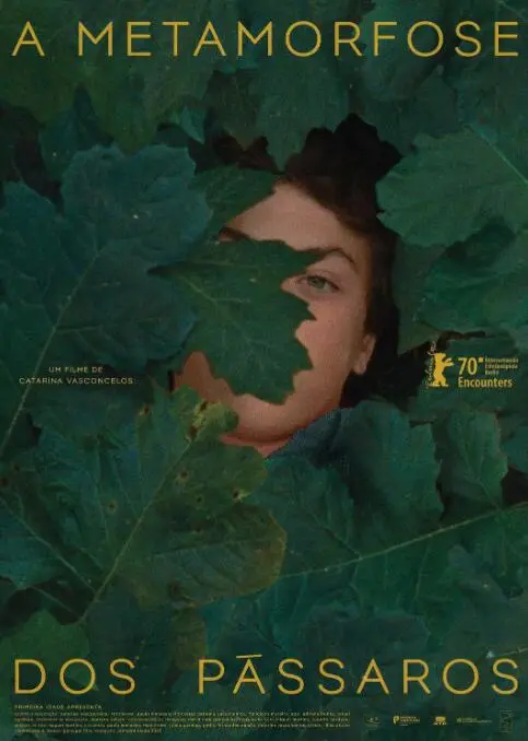 鸟类变形记海报