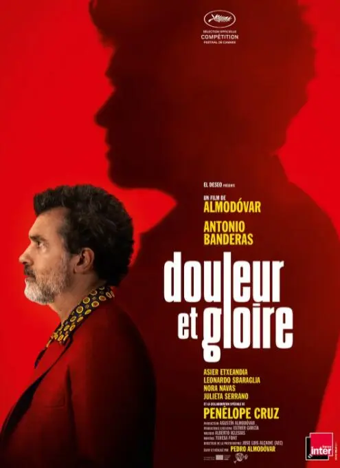 痛苦与荣耀海报