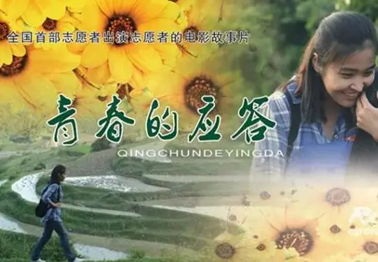 青春的应答海报