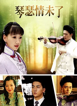琴瑟情未了海报