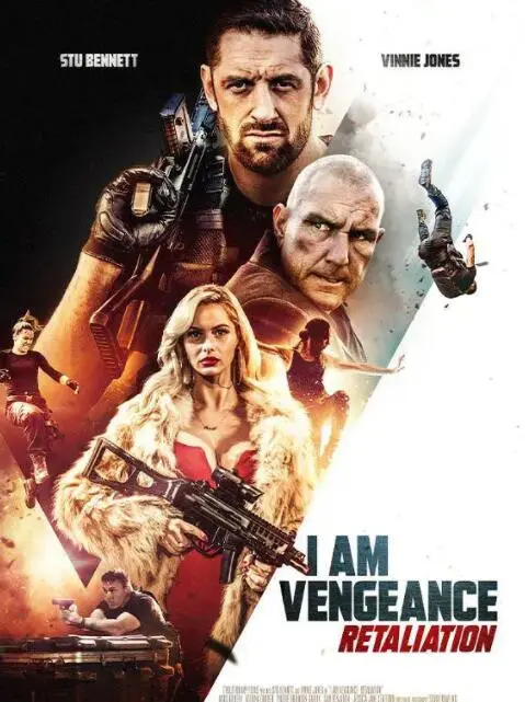 我是复仇者2海报