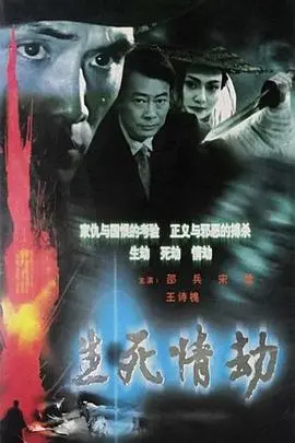 生死情劫海报