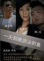 一天到晚游泳的鱼海报