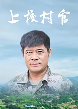 上校村官海报