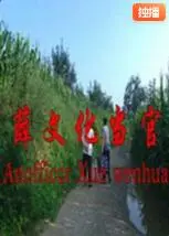 薛文化当官记海报