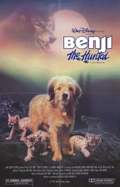 丛林赤子心海报