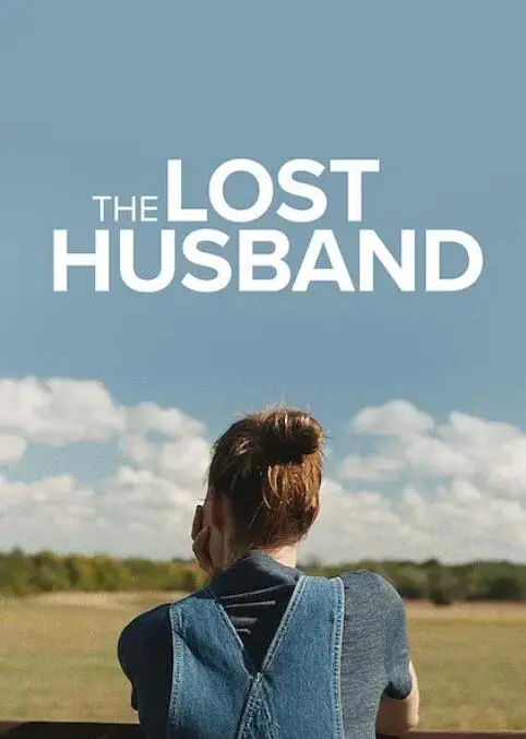 失去的丈夫海报