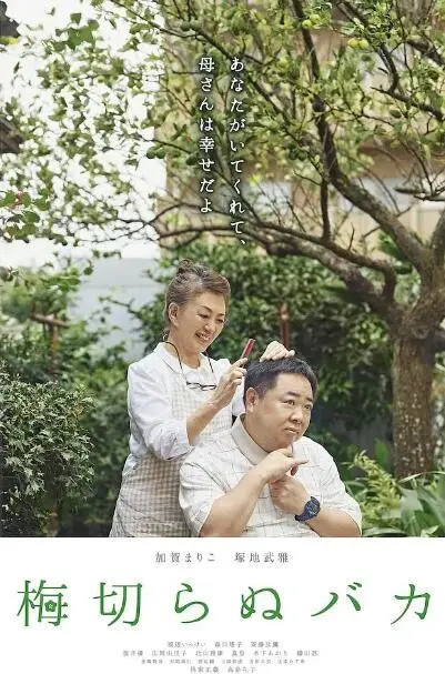 不砍梅树的傻瓜海报