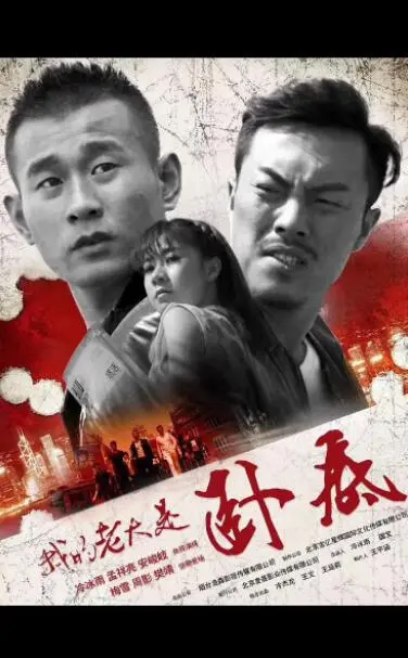 我的老大是卧底海报