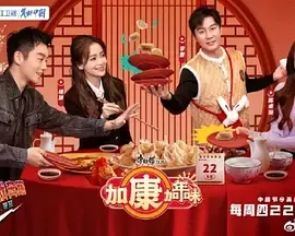 加康加年味海报