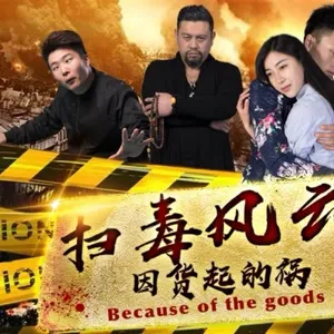 扫毒风云之因货起的祸海报