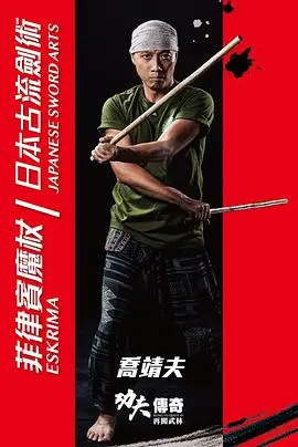 功夫傳奇IV再闖武林