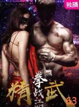 精武之拳战江湖海报