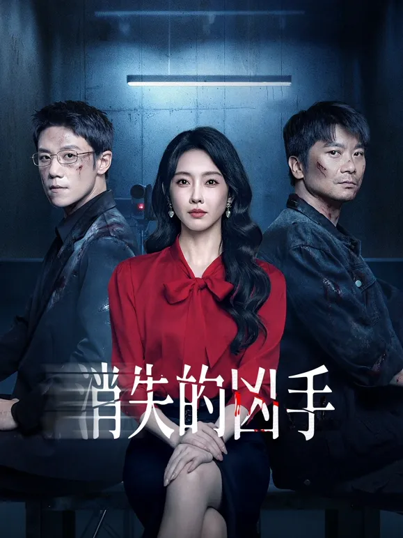 消失的凶手2025