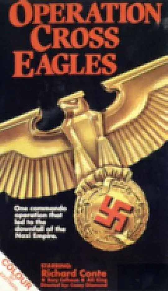 十字鹰行动海报