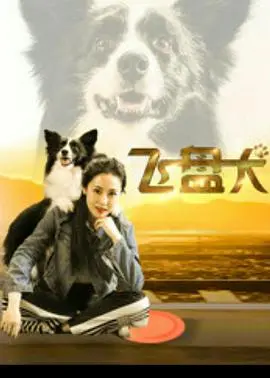 飞盘犬 (2020)海报