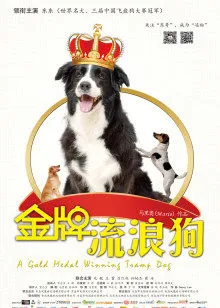 金牌流浪狗
