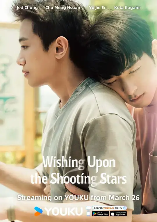 向流星许愿的我们海报