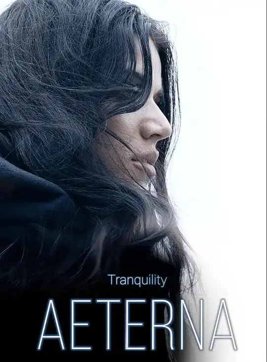 宁静3：永恒海报