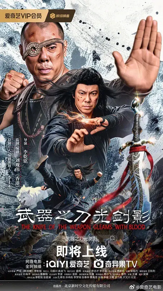 武器之刀光剑影海报