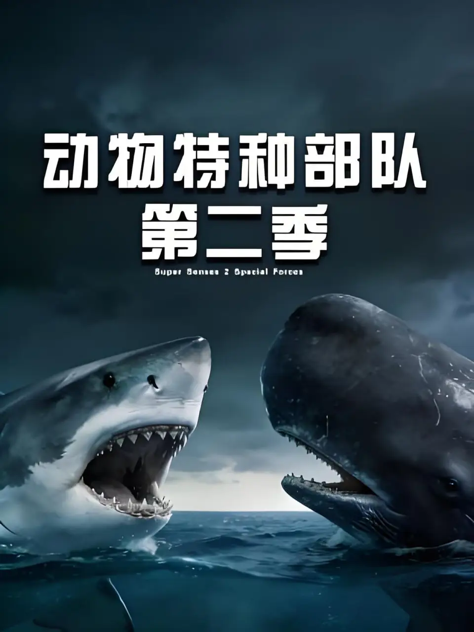 动物特种部队 第二季海报